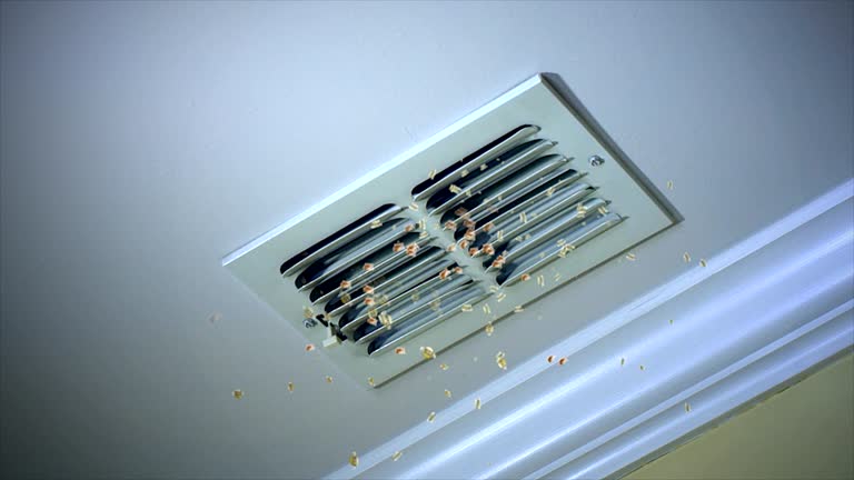 Best Air Vent Cleaning Services  in Ocean Pines, MD